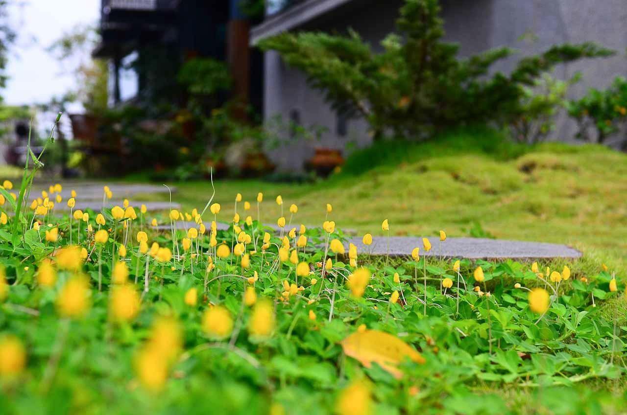 Appartamento 建築師 湧泉 泡湯 會館 Dongshan  Esterno foto